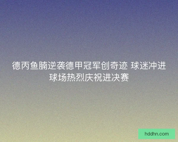 德丙鱼腩逆袭德甲冠军创奇迹 球迷冲进球场热烈庆祝进决赛